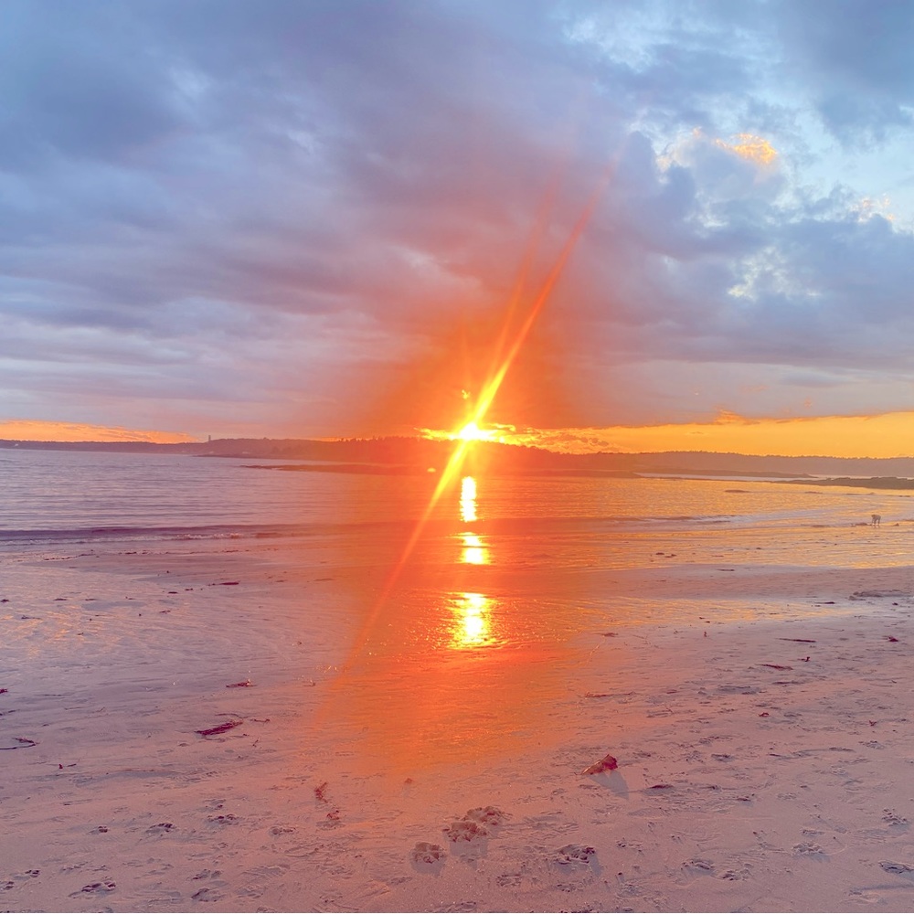 Meet your Posher, Holly